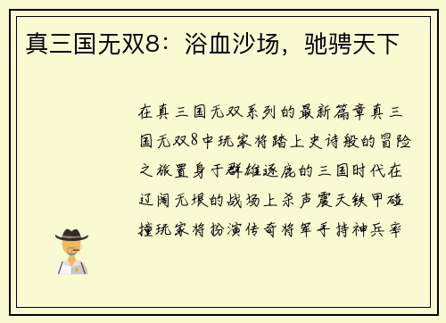 真三国无双8：浴血沙场，驰骋天下